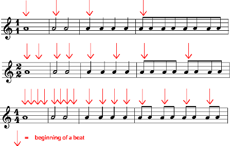 Counting and Conducting